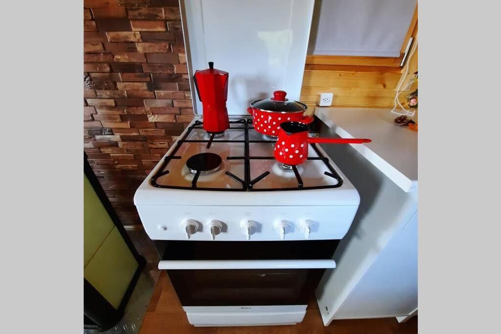 Autarkes Tiny House Mit Rheinblick Apartment Rumikon ภายนอก รูปภาพ