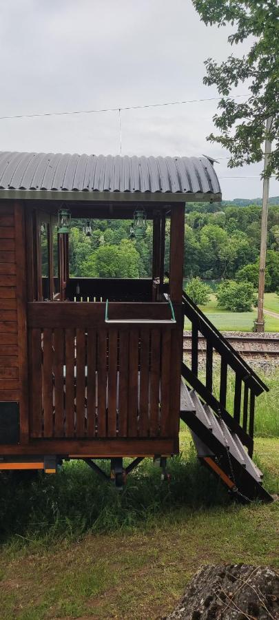 Autarkes Tiny House Mit Rheinblick Apartment Rumikon ภายนอก รูปภาพ